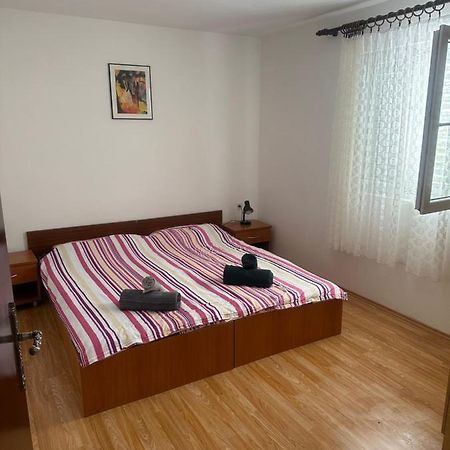 Apartmani Marko Novalja Extérieur photo